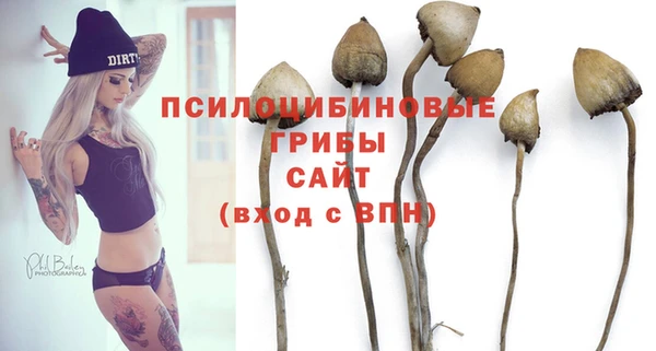 МДПВ Михайловка