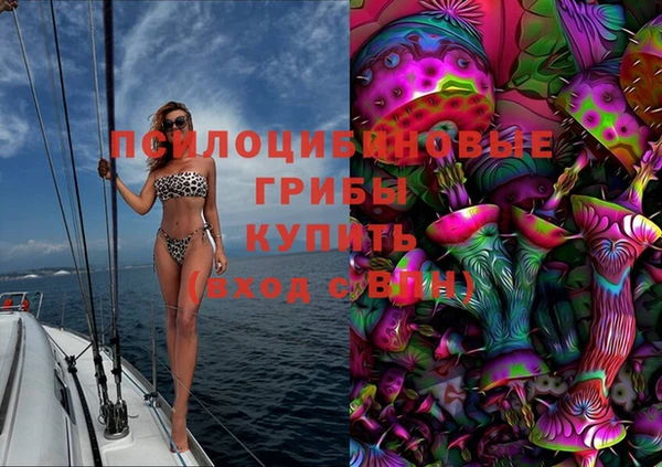 МДПВ Михайловка