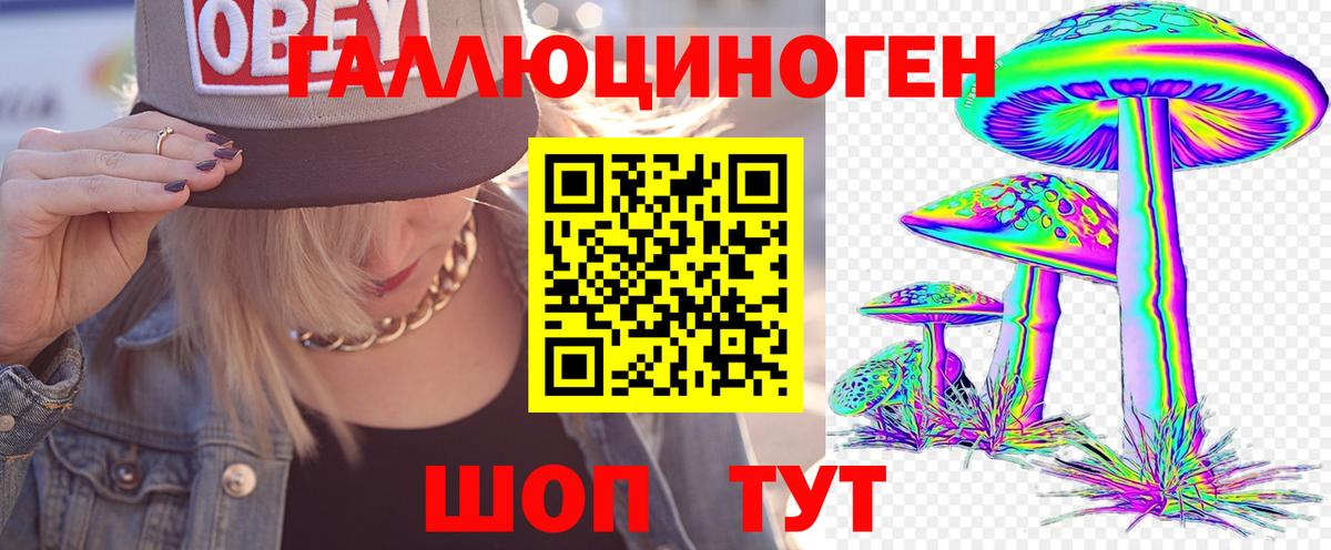 Заречный  Псилоцибиновые грибы Psilocybine cubensis  Вход с VPN 
